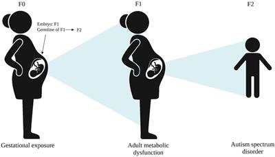 The Promise of DNA Methylation in Understanding Multigenerational Factors in Autism Spectrum Disorders